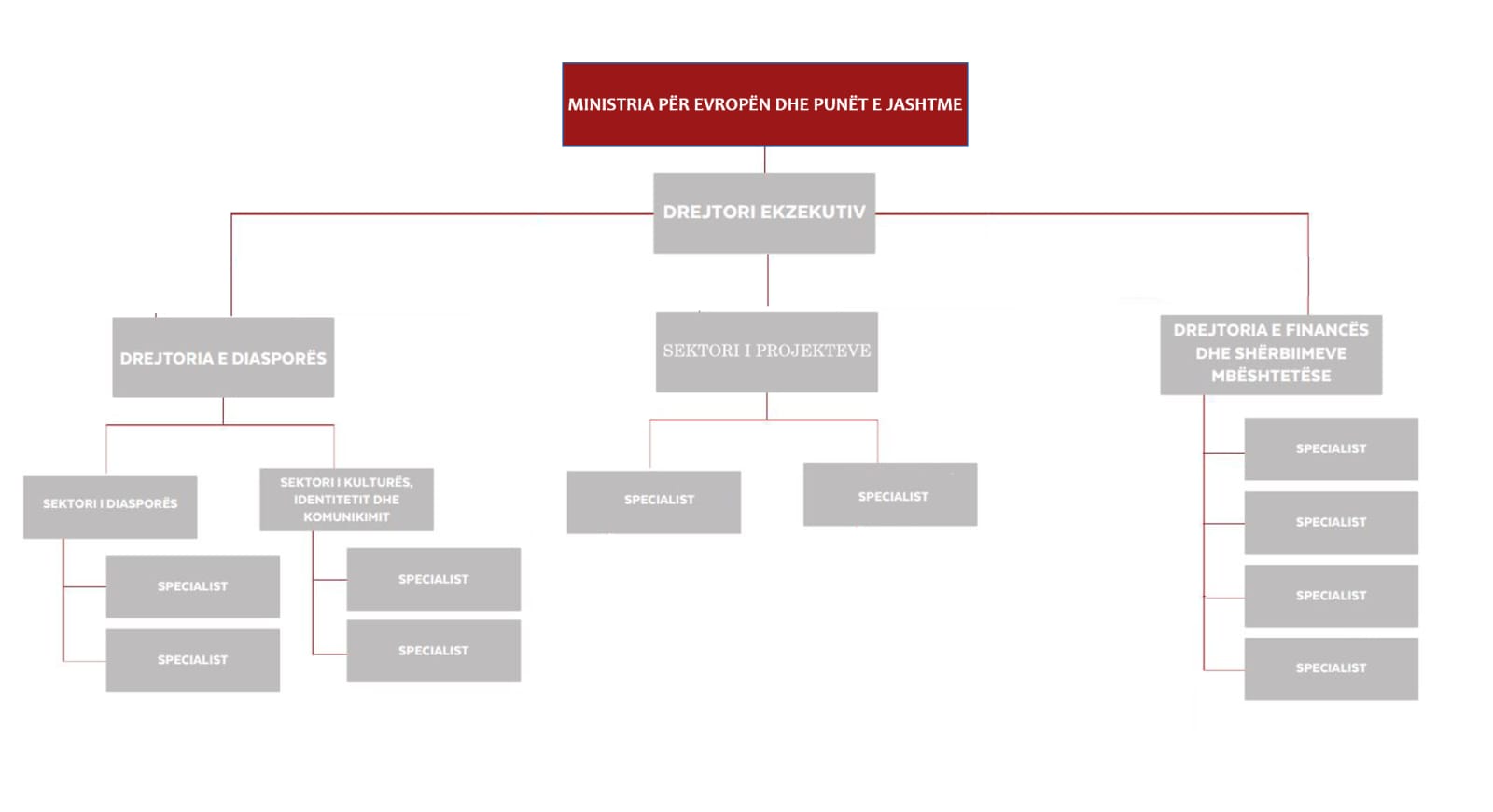 Organizational Structure